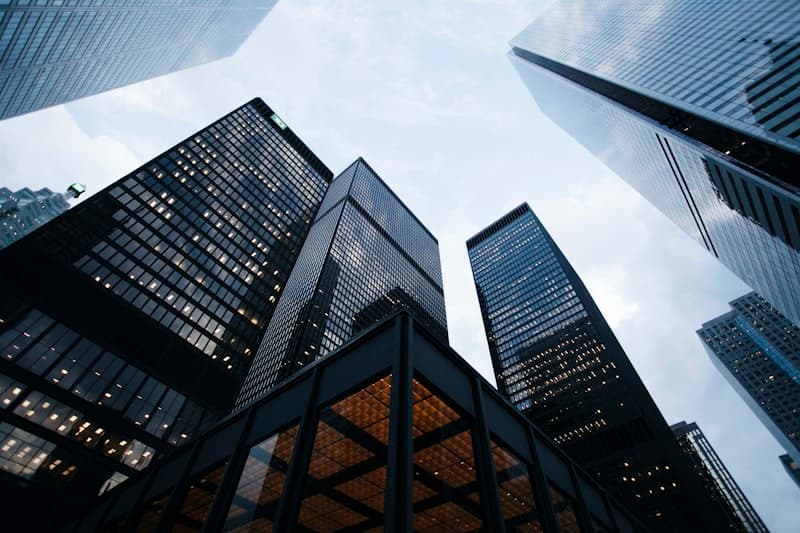 Fortune 500 Clients